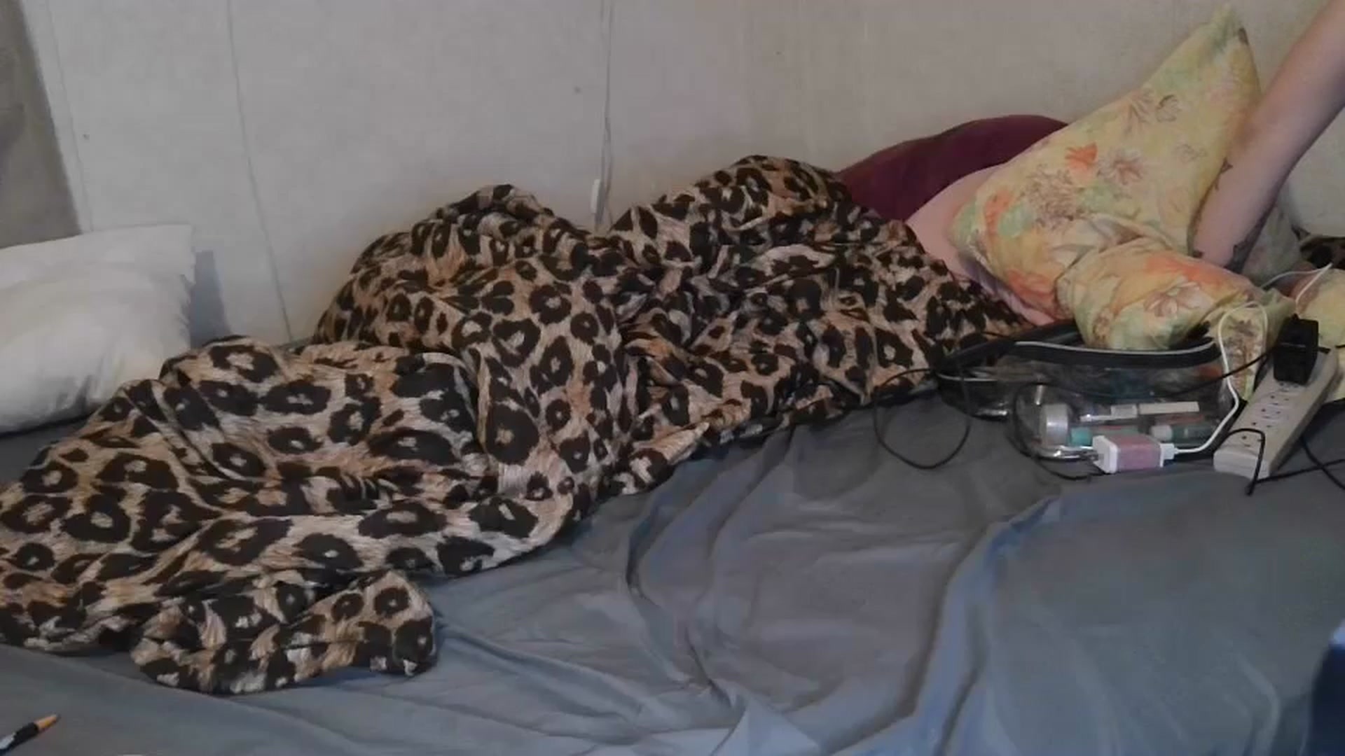 Gallery image thumbnail from Sofieyoungxxx's myfreecams stream on, 03/30/2026, 13:54 image 13 of 20