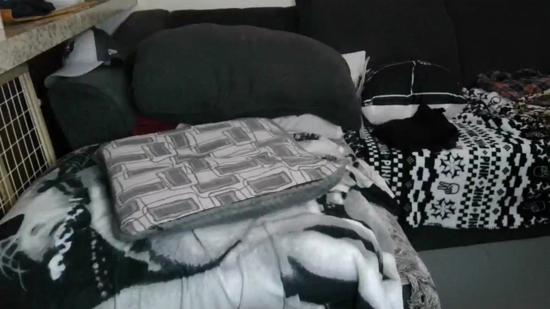 Gallery image thumbnail from Sofieyoungxxx's myfreecams stream on, 04/13/2026, 08:45 image 4 of 20