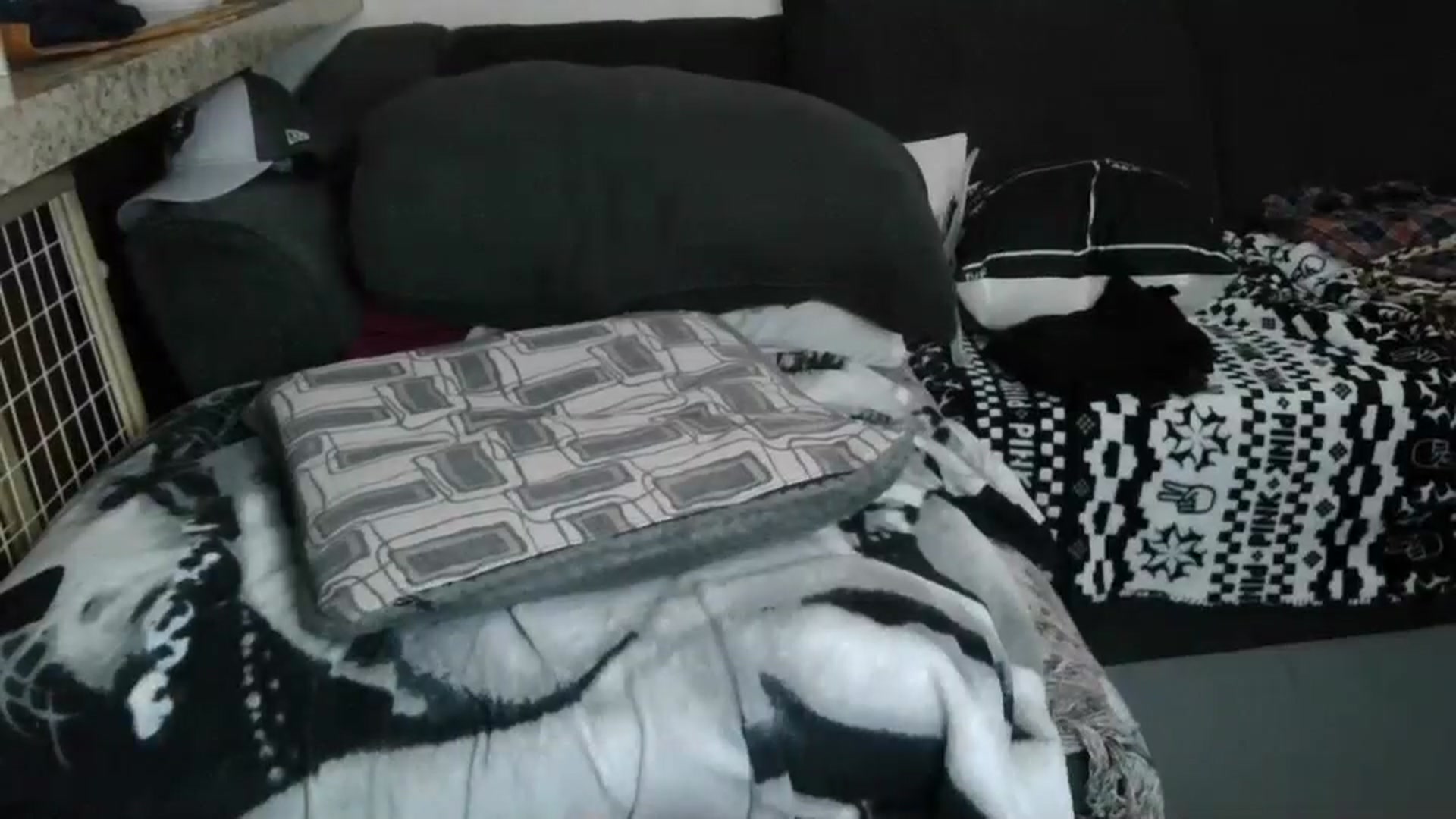 Gallery image thumbnail from Sofieyoungxxx's myfreecams stream on, 04/13/2026, 08:45 image 3 of 20
