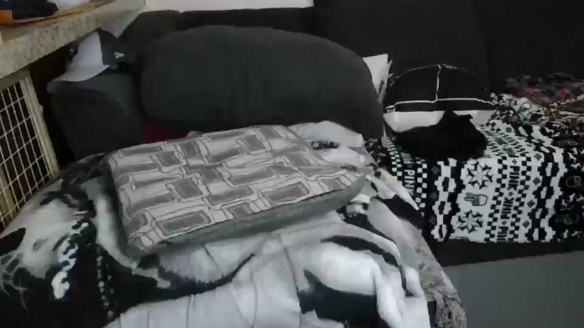 Gallery image thumbnail from Sofieyoungxxx's myfreecams stream on, 04/13/2026, 08:45 image 1 of 20