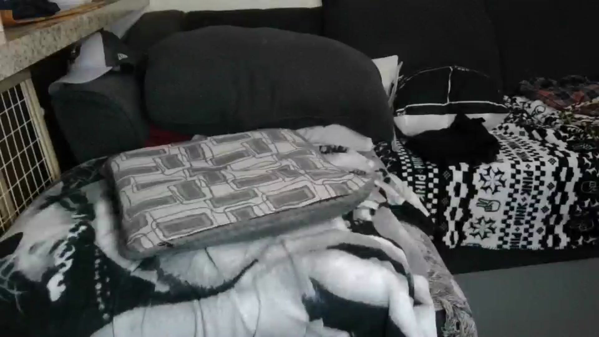 Gallery image thumbnail from Sofieyoungxxx's myfreecams stream on, 04/13/2026, 08:45 image 8 of 20