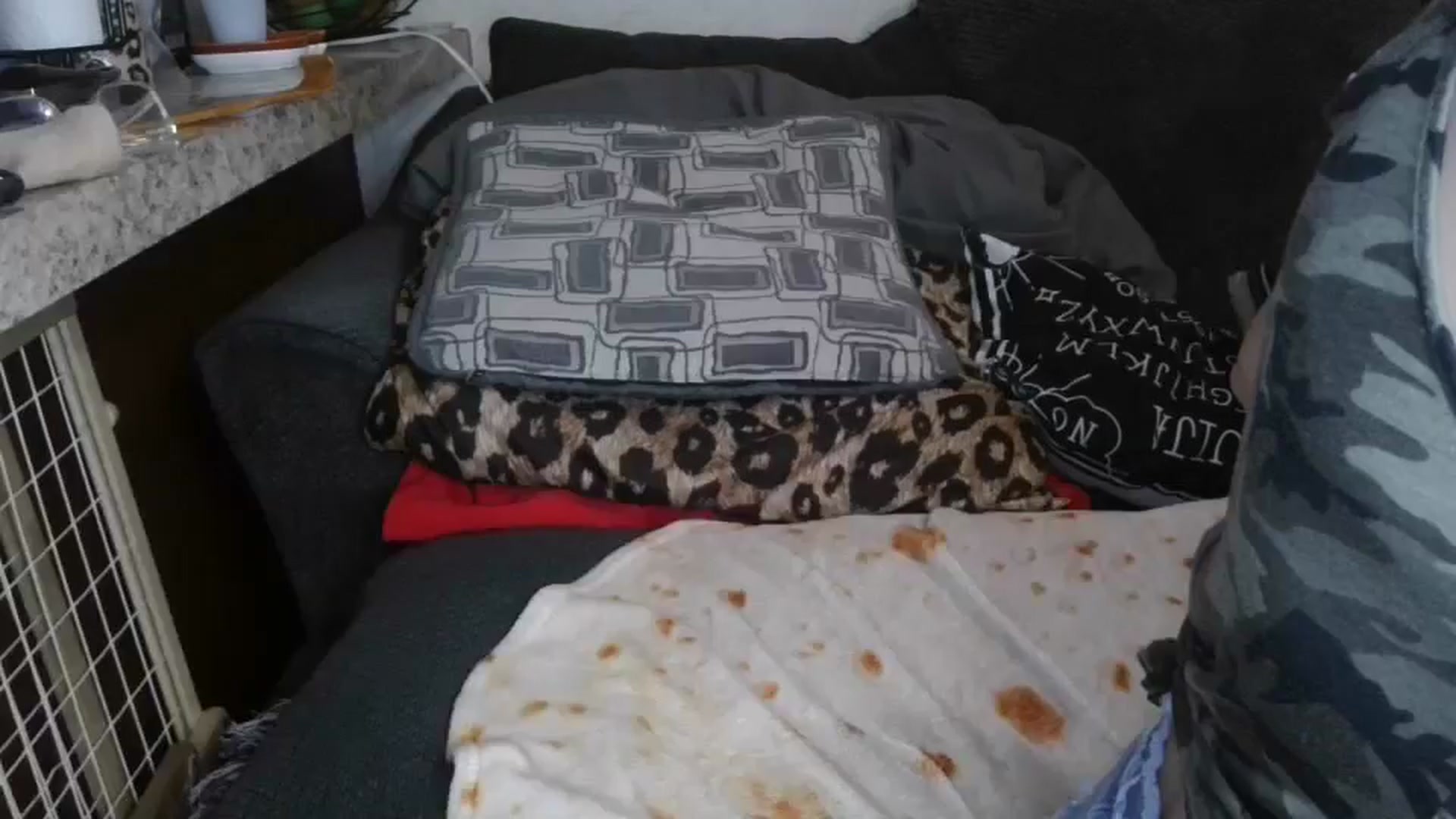 Gallery image thumbnail from Sofieyoungxxx's myfreecams stream on, 04/27/2026, 10:56 image 9 of 20