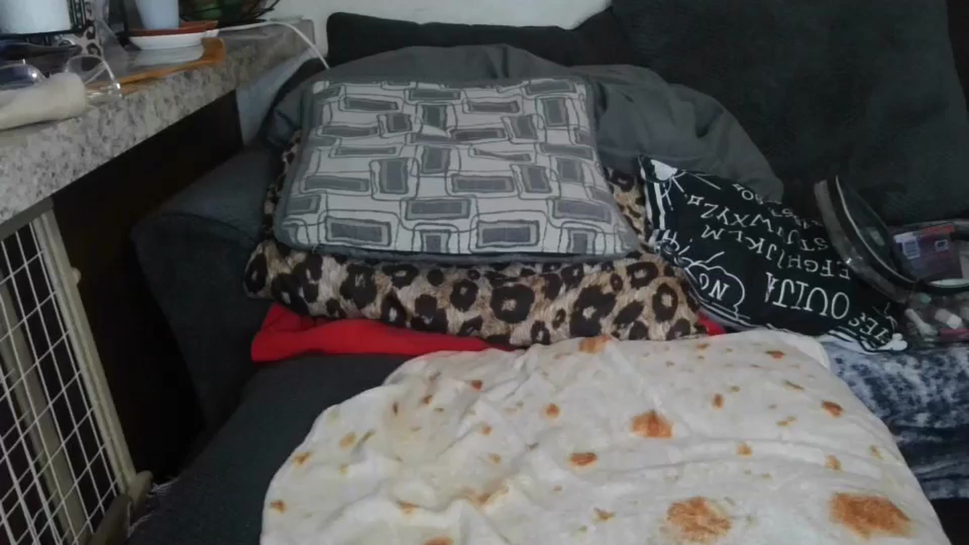 Gallery image thumbnail from Sofieyoungxxx's myfreecams stream on, 04/27/2026, 10:56 image 5 of 20