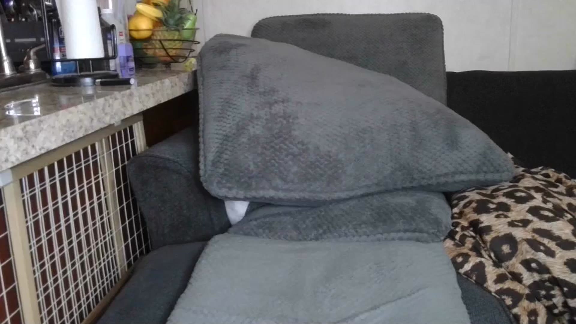 Gallery image thumbnail from Sofieyoungxxx's myfreecams stream on, 05/09/2026, 11:58 image 20 of 20