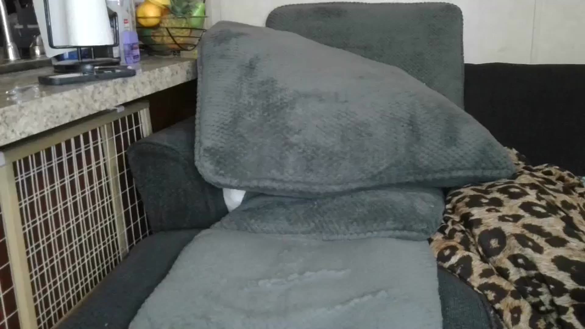 Gallery image thumbnail from Sofieyoungxxx's myfreecams stream on, 05/09/2026, 11:58 image 4 of 20