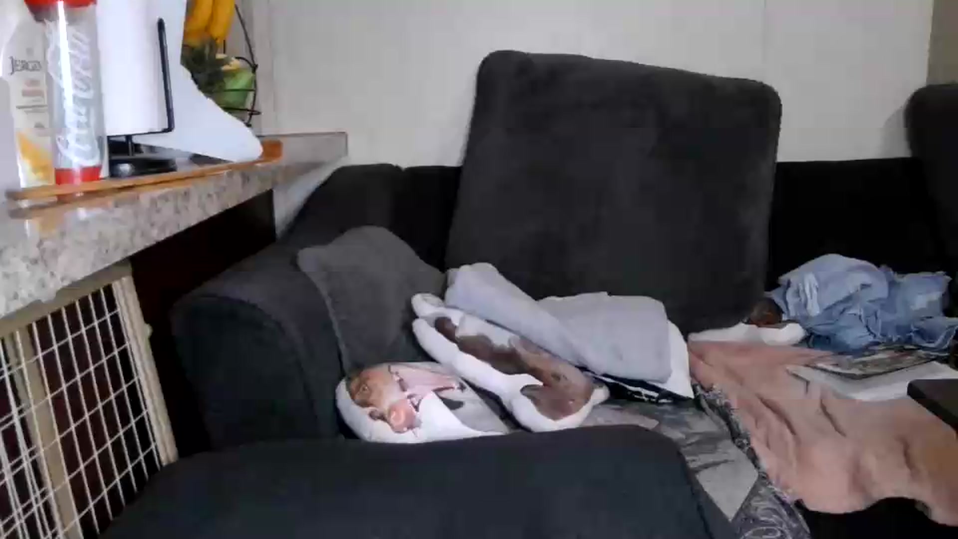 Gallery image thumbnail from Sofieyoungxxx's myfreecams stream on, 06/05/2026, 10:31 image 6 of 20