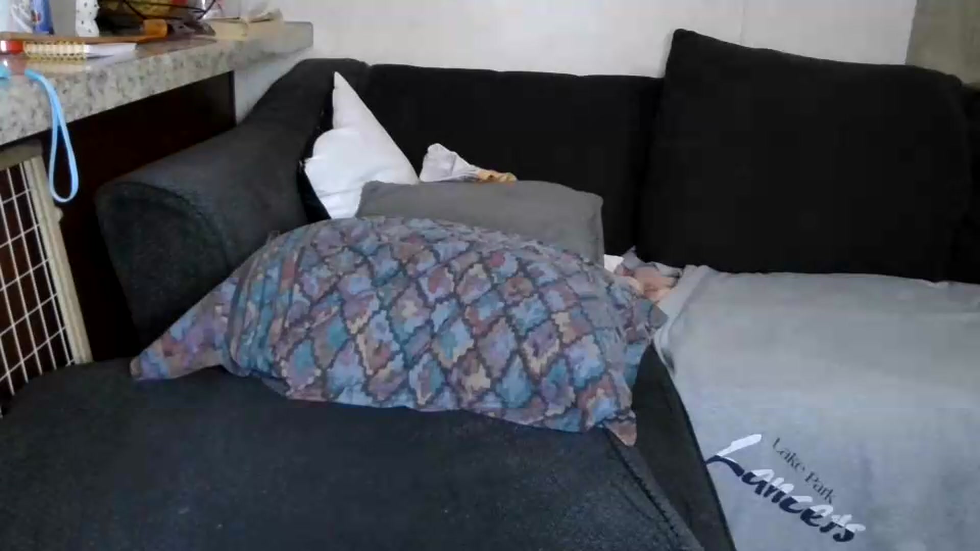 Gallery image thumbnail from Sofieyoungxxx's myfreecams stream on, 06/10/2026, 15:19 image 15 of 20