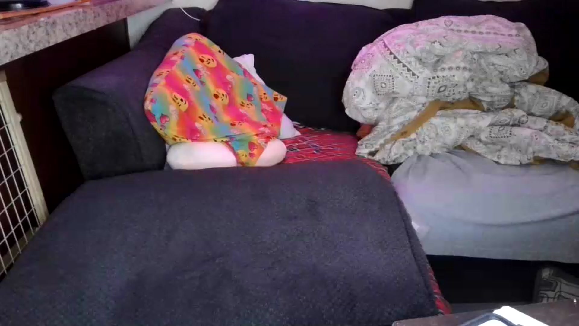 Gallery image thumbnail from Sofieyoungxxx's myfreecams stream on, 08/11/2026, 09:26 image 3 of 20
