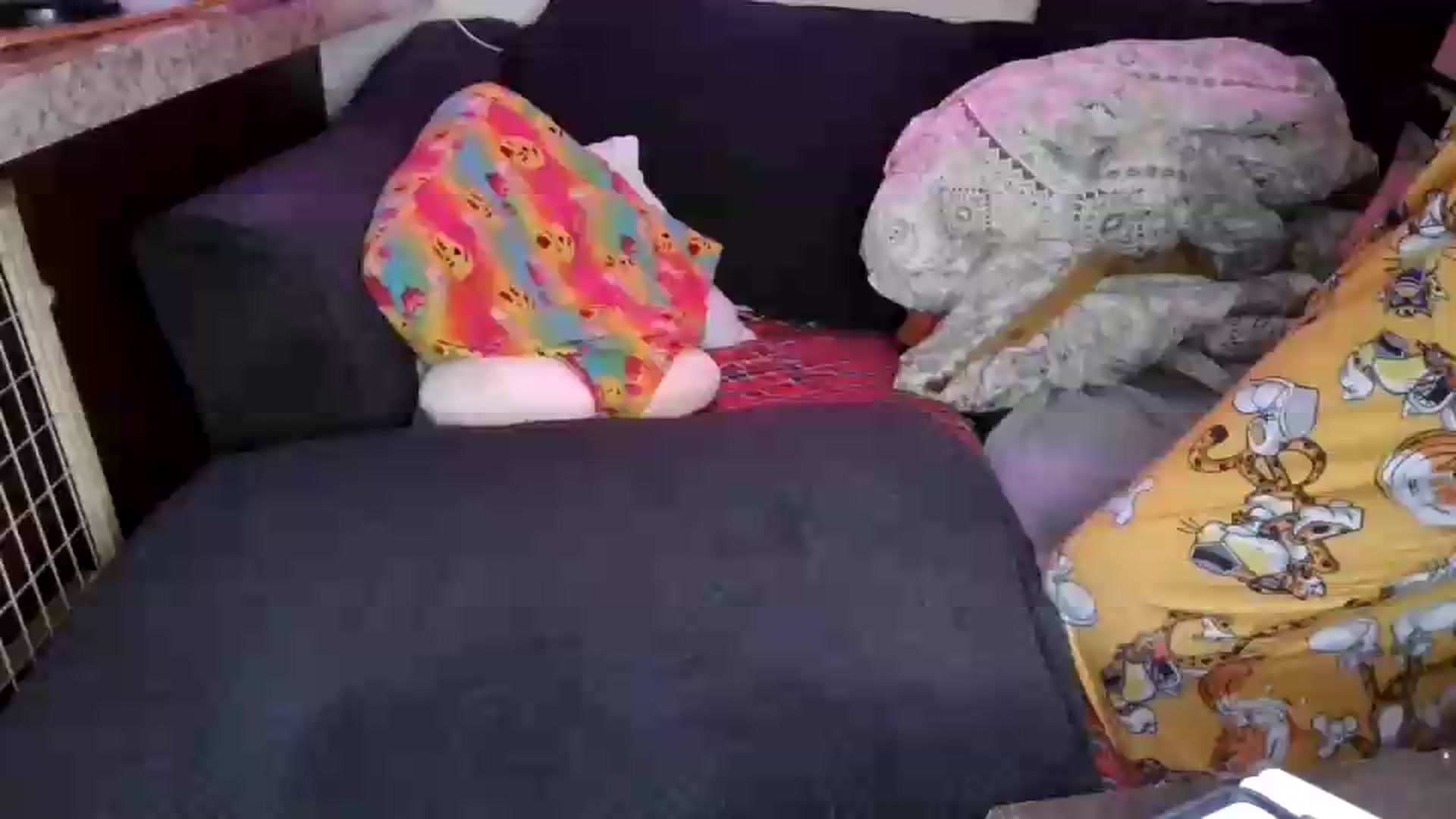 Gallery image thumbnail from Sofieyoungxxx's myfreecams stream on, 08/11/2026, 09:26 image 1 of 20