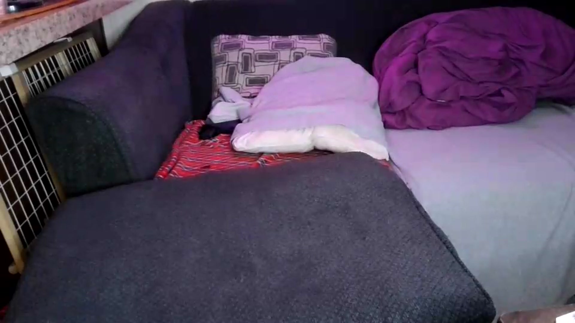 Gallery image thumbnail from Sofieyoungxxx's myfreecams stream on, 08/18/2026, 09:10 image 3 of 20