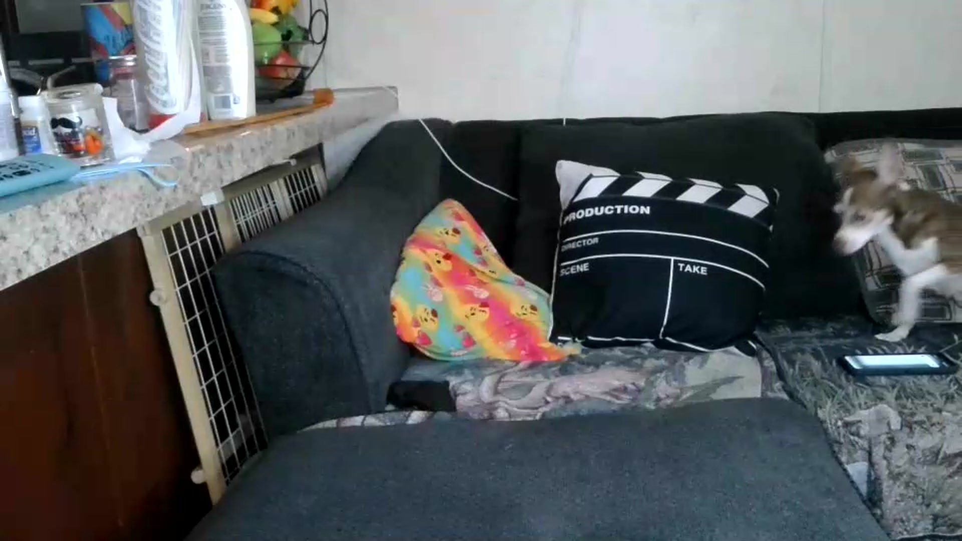 Gallery image thumbnail from Sofieyoungxxx's myfreecams stream on, 08/30/2026, 11:55 image 6 of 20