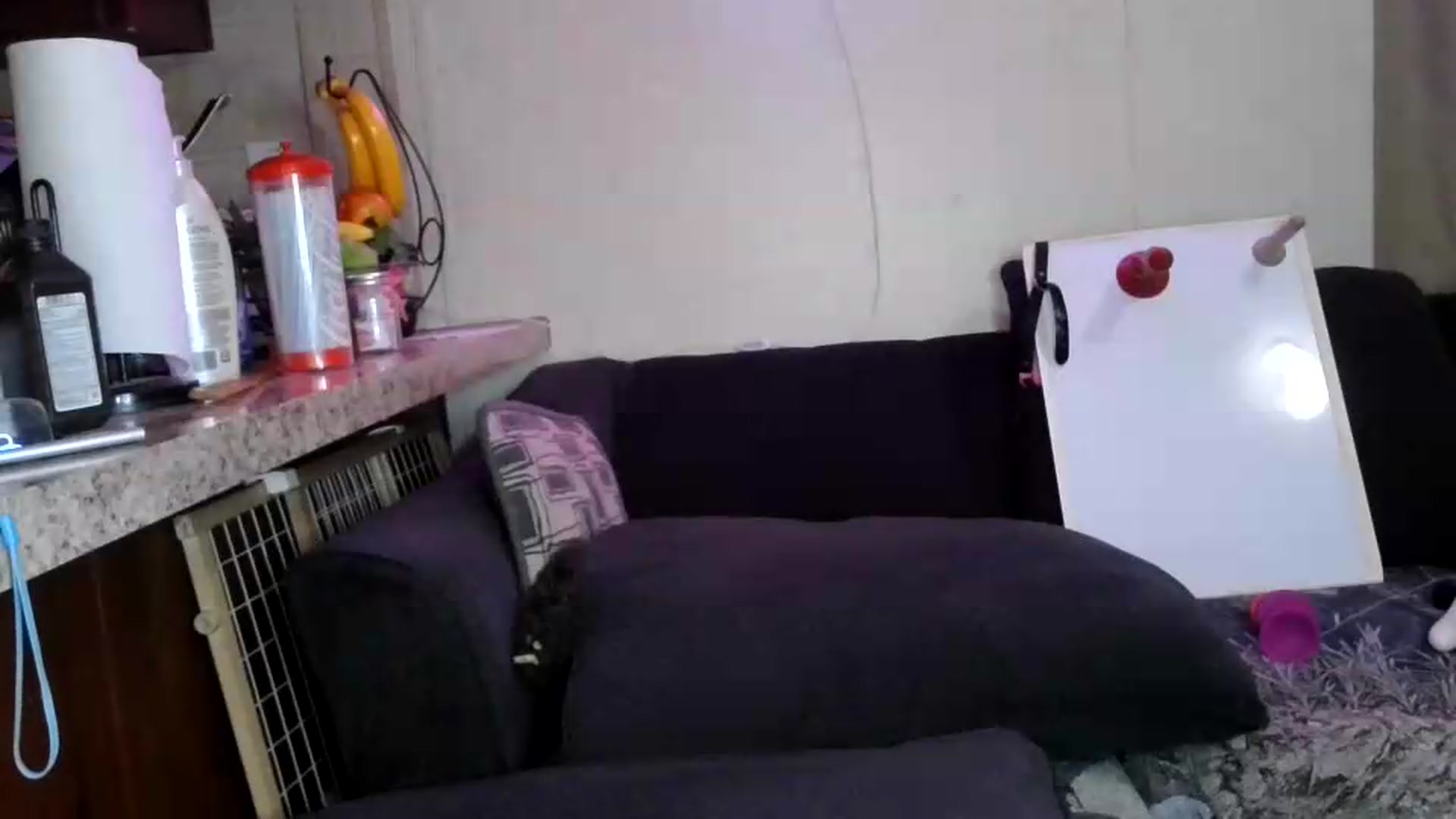 Gallery image thumbnail from Sofieyoungxxx's myfreecams stream on, 08/31/2026, 10:43 image 18 of 20