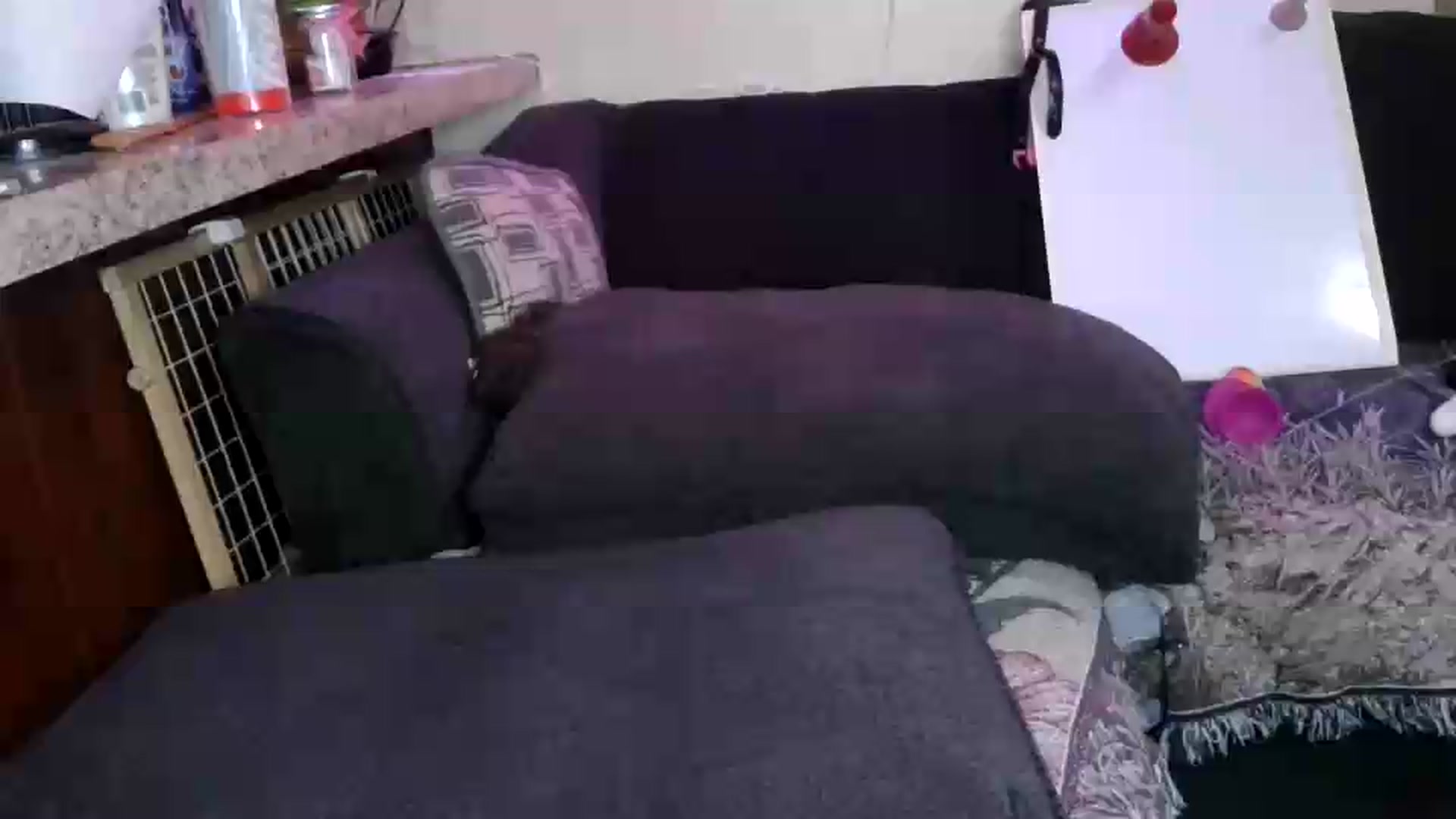 Gallery image thumbnail from Sofieyoungxxx's myfreecams stream on, 08/31/2026, 11:59 image 19 of 20