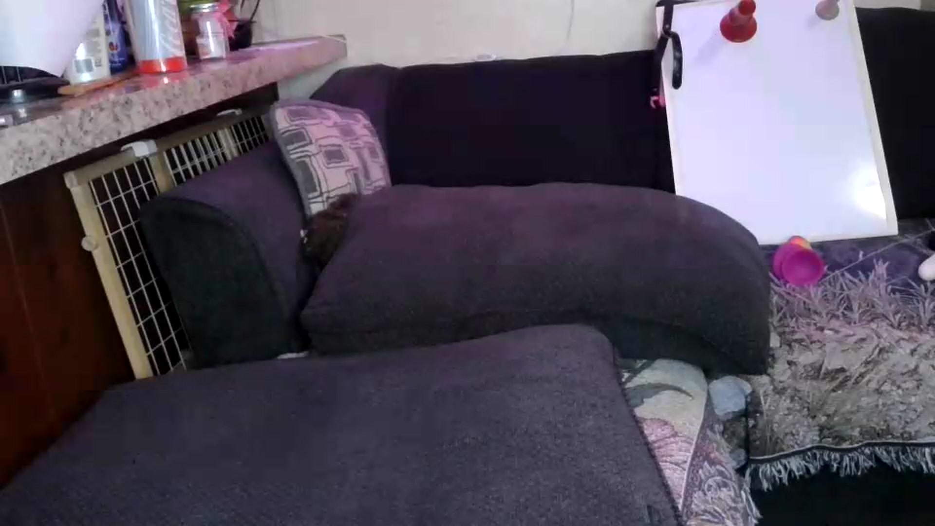 Gallery image thumbnail from Sofieyoungxxx's myfreecams stream on, 08/31/2026, 11:59 image 20 of 20