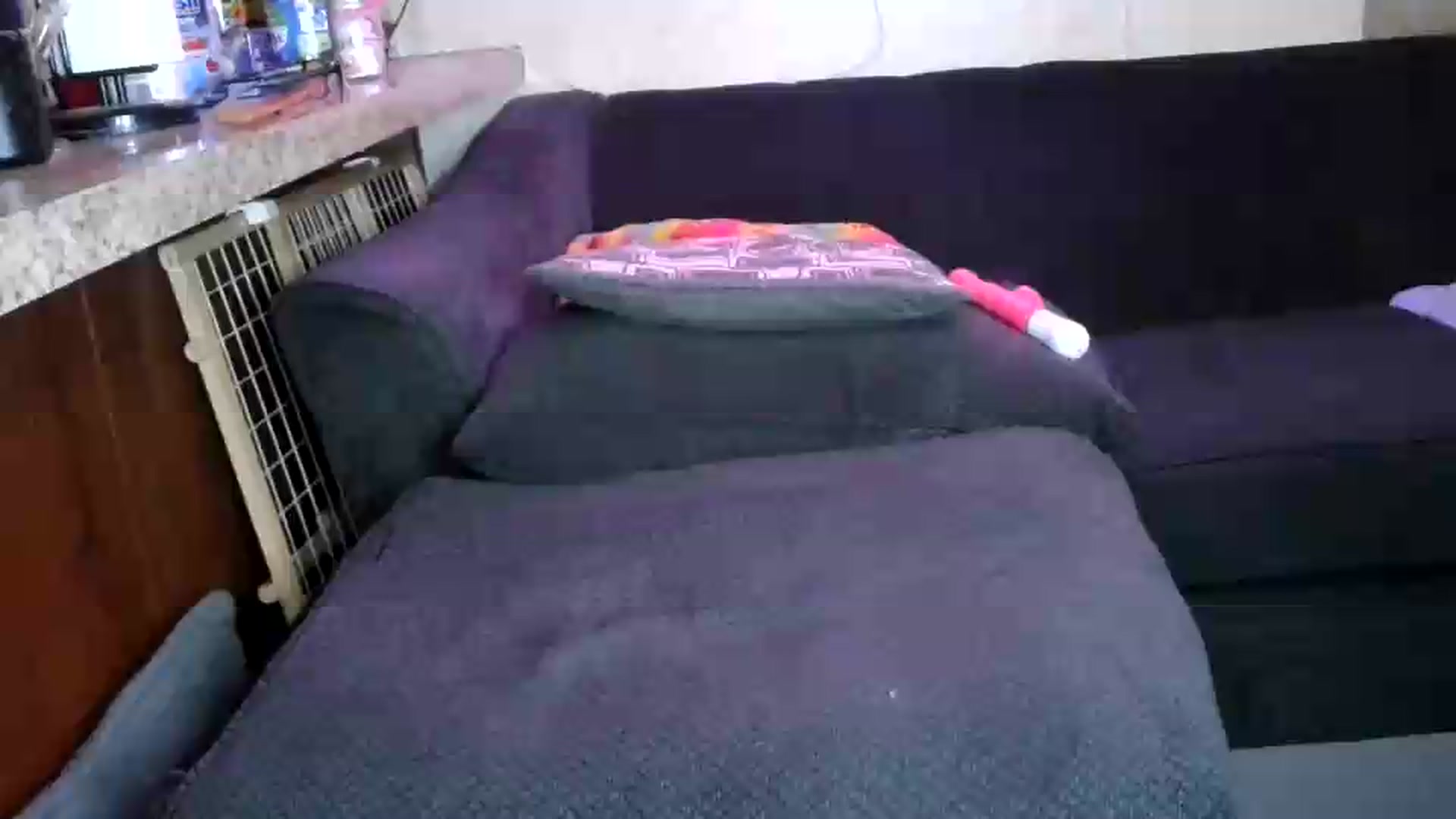 Gallery image thumbnail from Sofieyoungxxx's myfreecams stream on, 09/15/2026, 10:49 image 1 of 20
