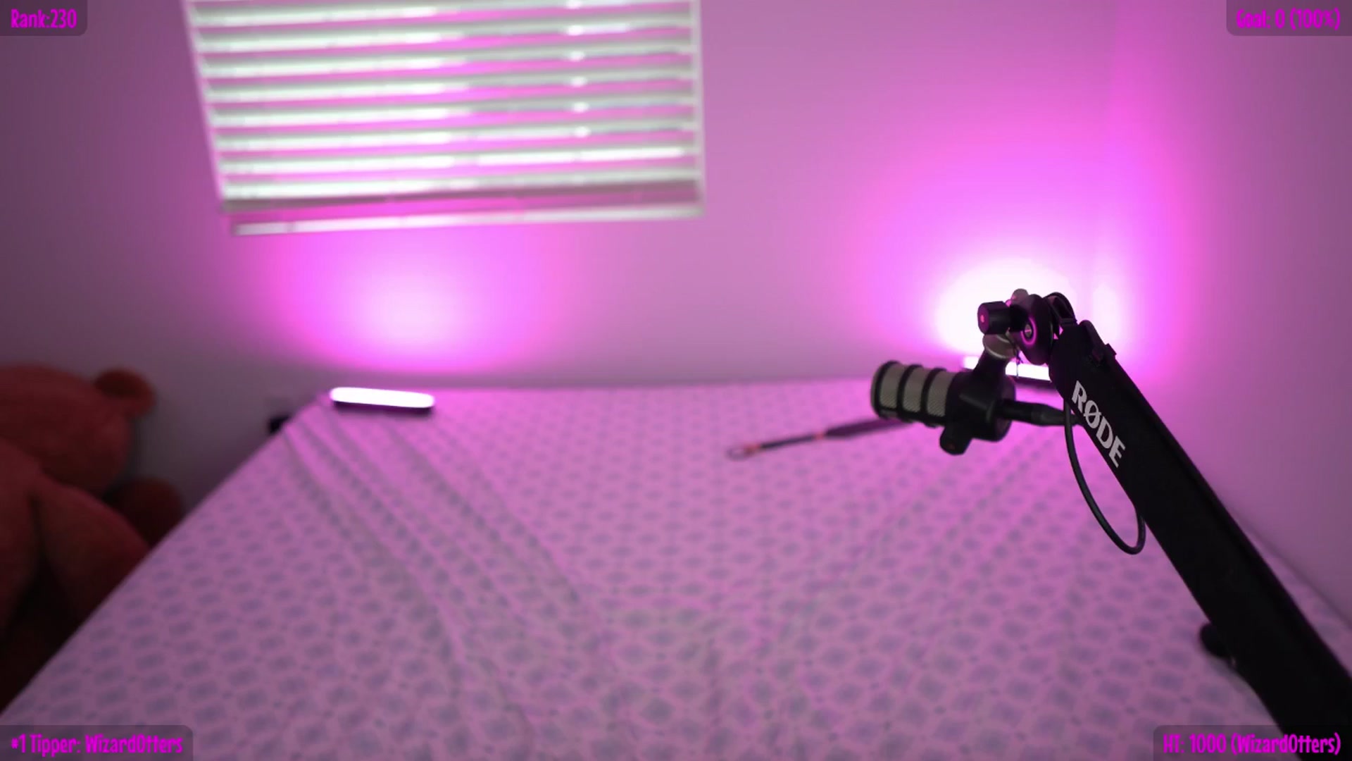 Gallery image thumbnail from Sofiryanxoxo's myfreecams stream on, 02/17/2026, 02:12 image 9 of 20