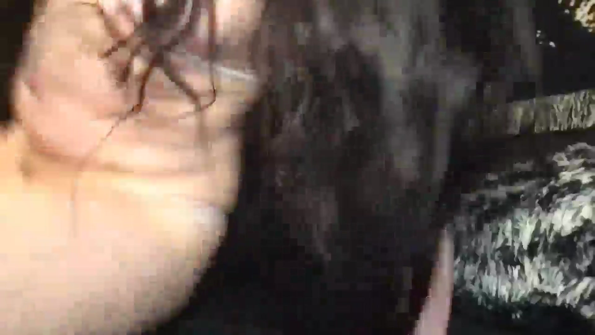 Gallery image thumbnail from Softestscream's myfreecams stream on, 05/09/2026, 03:30 image 14 of 20