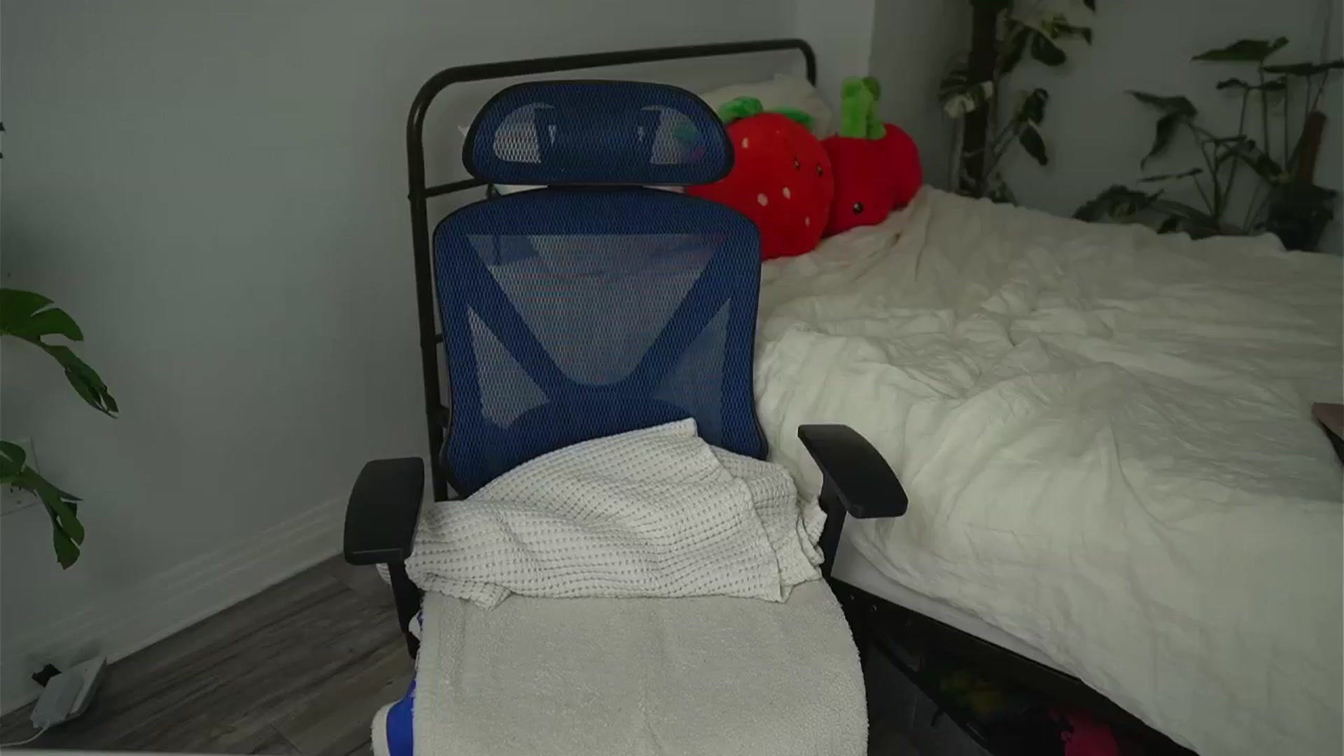 Gallery image thumbnail from SoftnWet's myfreecams stream on, 08/23/2025, 24:52 image 11 of 20