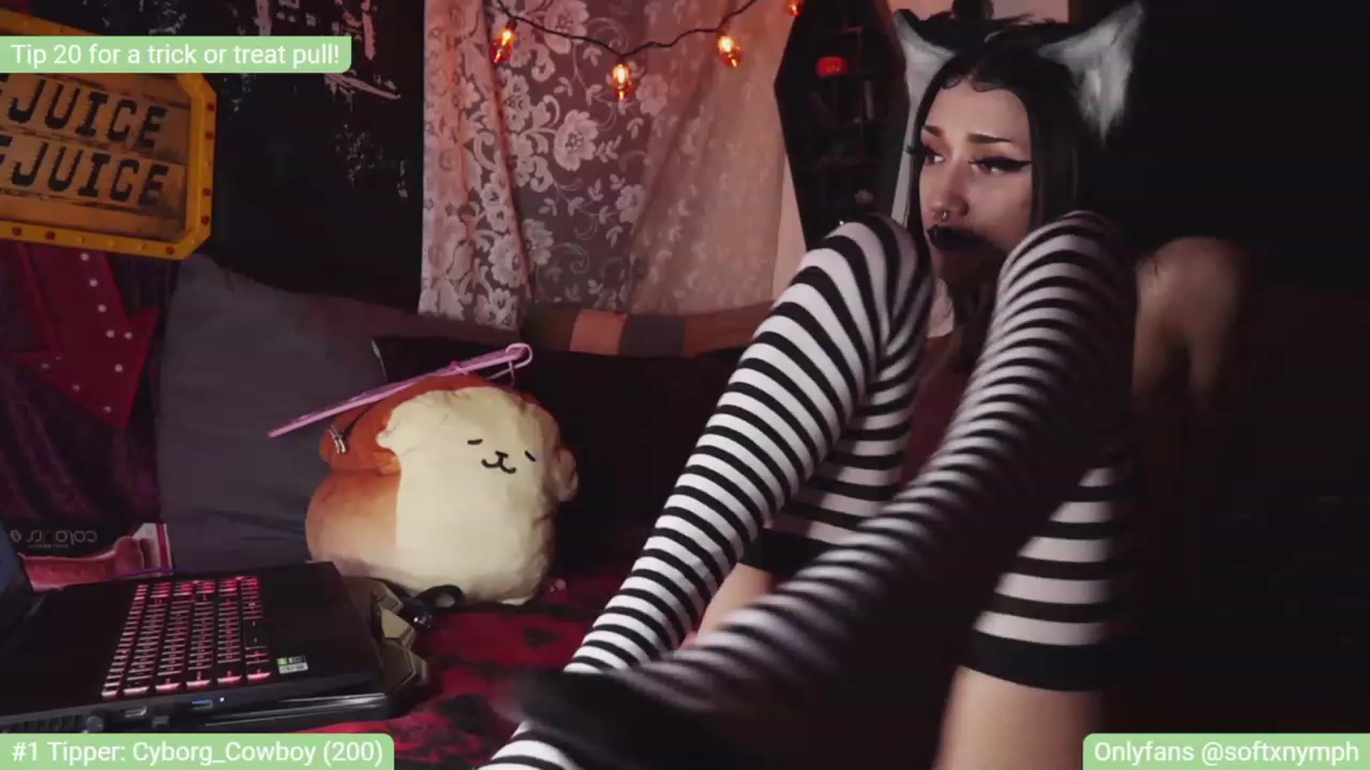 Gallery image thumbnail from SoftxNymph's myfreecams stream on, 11/16/2022, 24:50 image 6 of 20