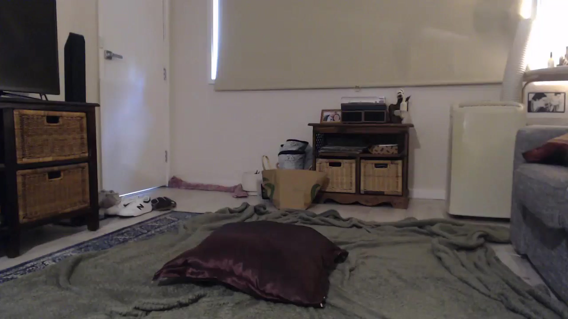 Gallery image thumbnail from Sonisymbal's myfreecams stream on, 12/05/2024, 05:16 image 14 of 20