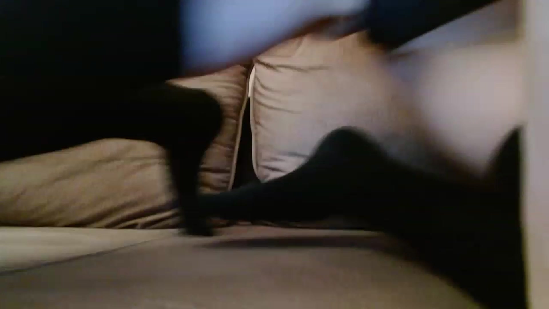 Gallery image thumbnail from Sonya_BDay's myfreecams stream on, 03/06/2023, 24:07 image 8 of 20
