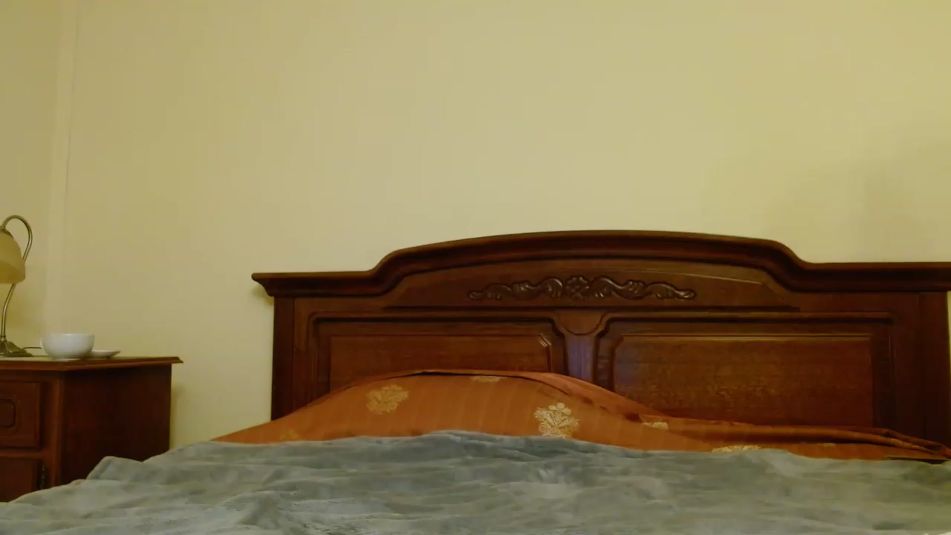 Gallery image thumbnail from Sonyabrage's myfreecams stream on, 12/25/2022, 24:58 image 18 of 20
