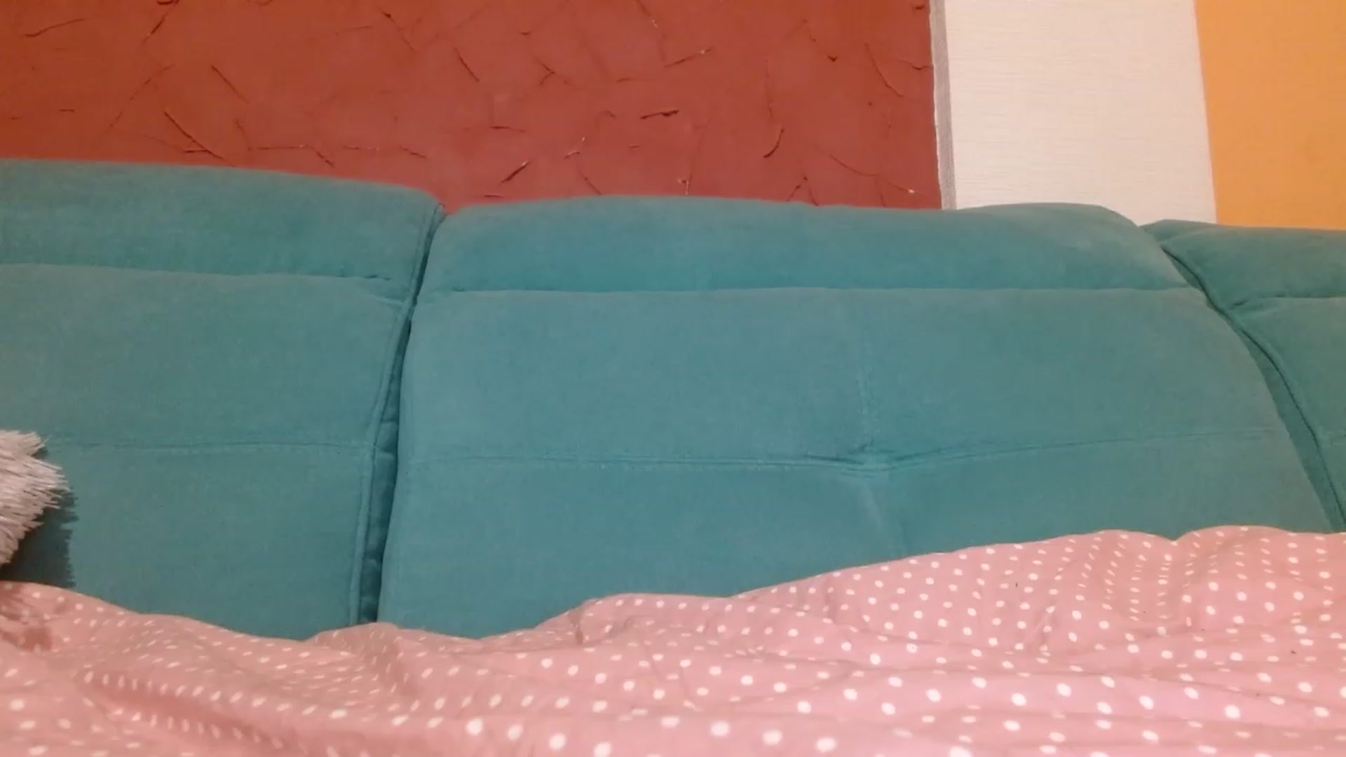 Gallery image thumbnail from Sonyabrage's myfreecams stream on, 01/10/2023, 24:54 image 2 of 20