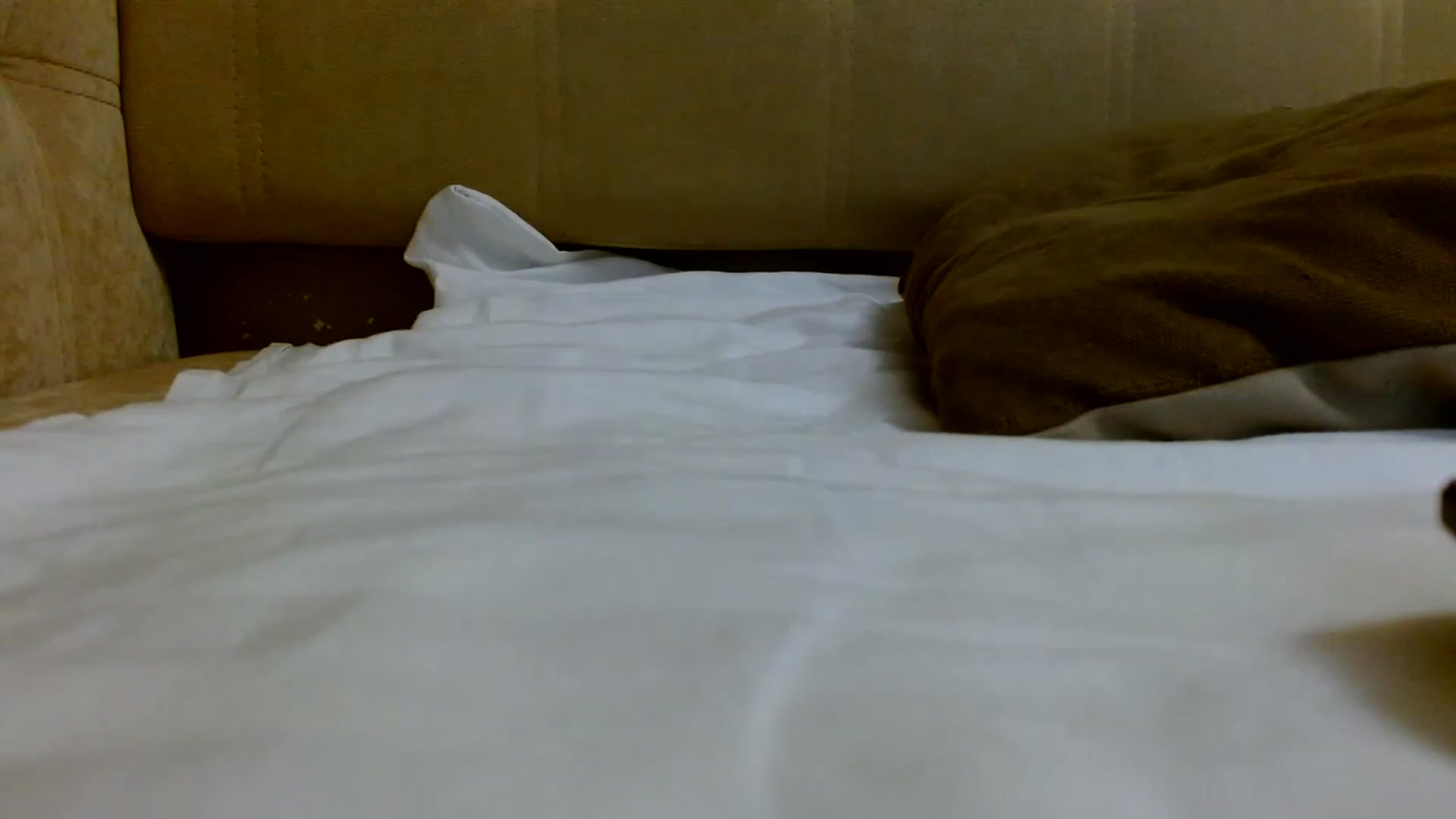 Gallery image thumbnail from Sonyabrage's myfreecams stream on, 01/15/2023, 18:53 image 19 of 20
