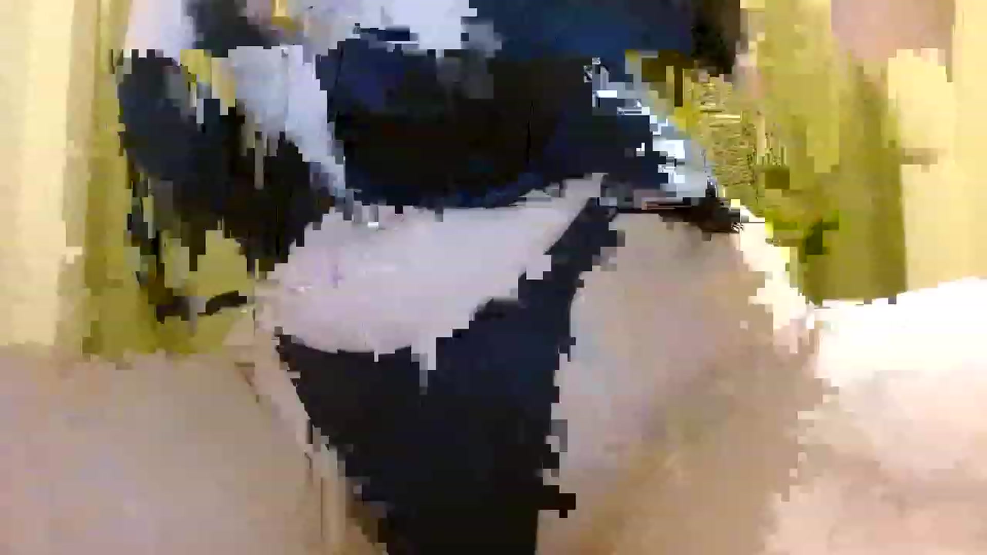 Gallery image thumbnail from Sonyabrage's myfreecams stream on, 01/25/2023, 19:35 image 3 of 20
