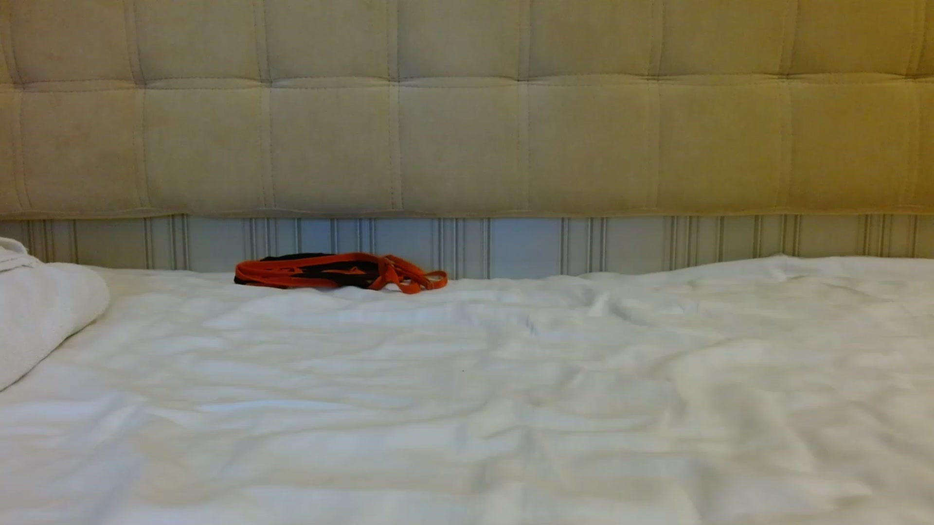 Gallery image thumbnail from Sonyabrage's myfreecams stream on, 02/09/2023, 23:09 image 13 of 20