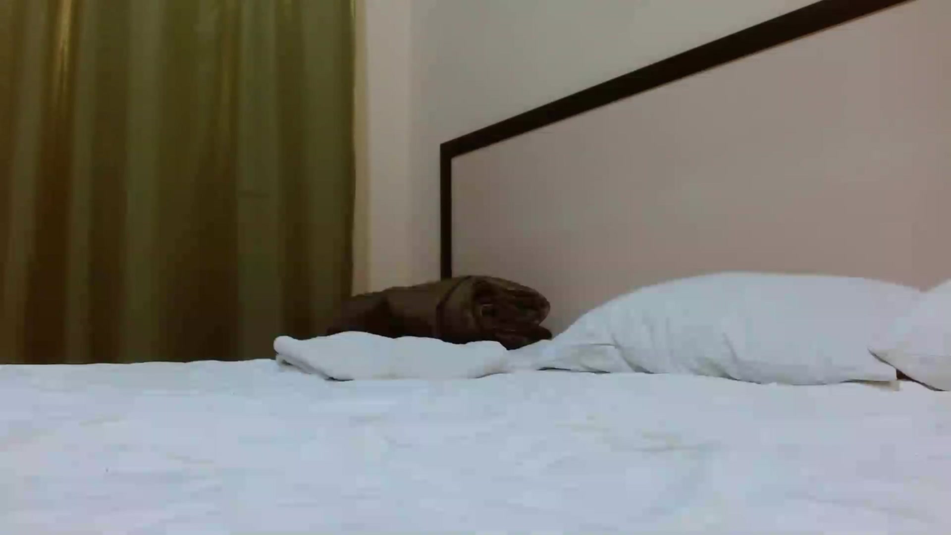 Gallery image thumbnail from Sonyabrage's myfreecams stream on, 02/22/2023, 21:18 image 9 of 20