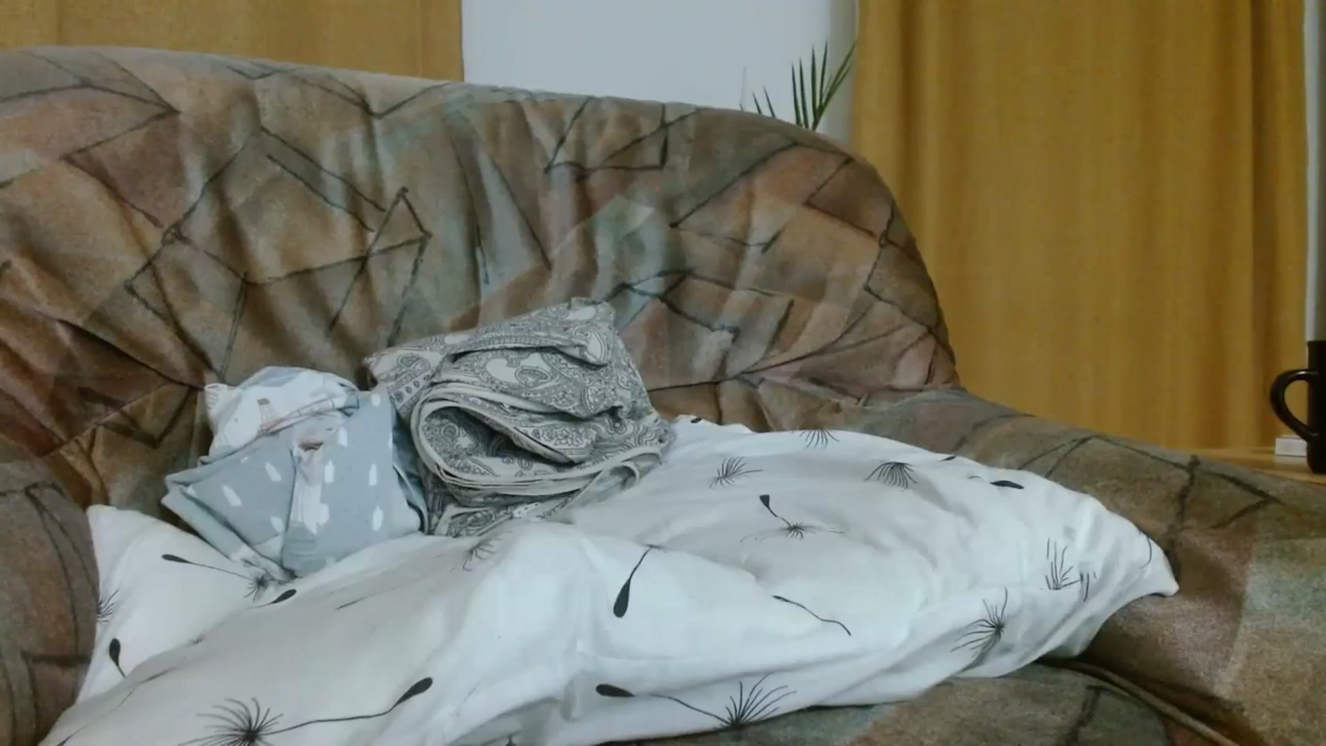 Gallery image thumbnail from Sonyabrage's myfreecams stream on, 11/25/2023, 01:24 image 15 of 20