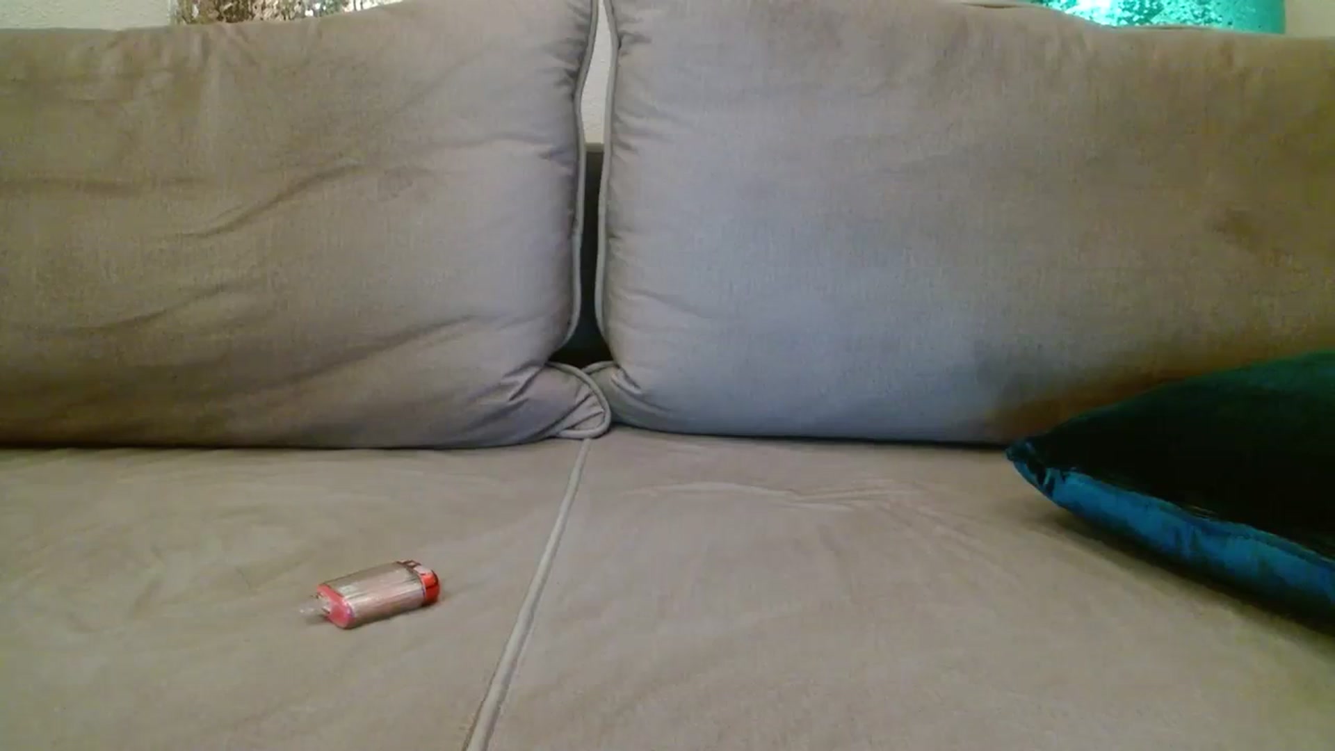 Gallery image thumbnail from Sonyabrage's myfreecams stream on, 11/26/2023, 03:09 image 4 of 20