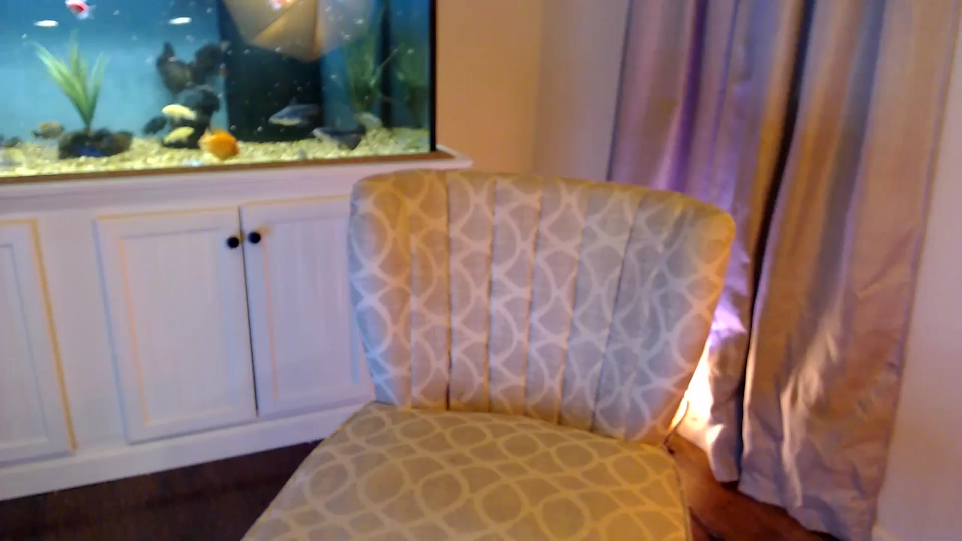 Gallery image thumbnail from Sookie__'s myfreecams stream on, 12/05/2024, 09:18 image 9 of 20