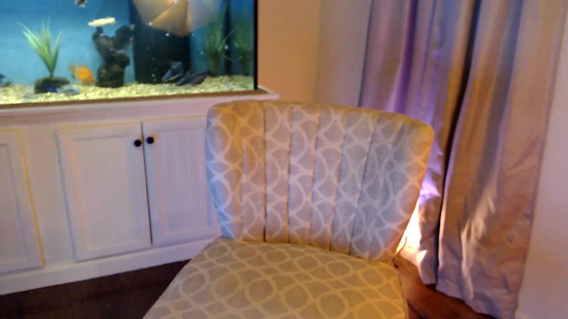 Gallery image thumbnail from Sookie__'s myfreecams stream on, 12/05/2024, 09:18 image 10 of 20