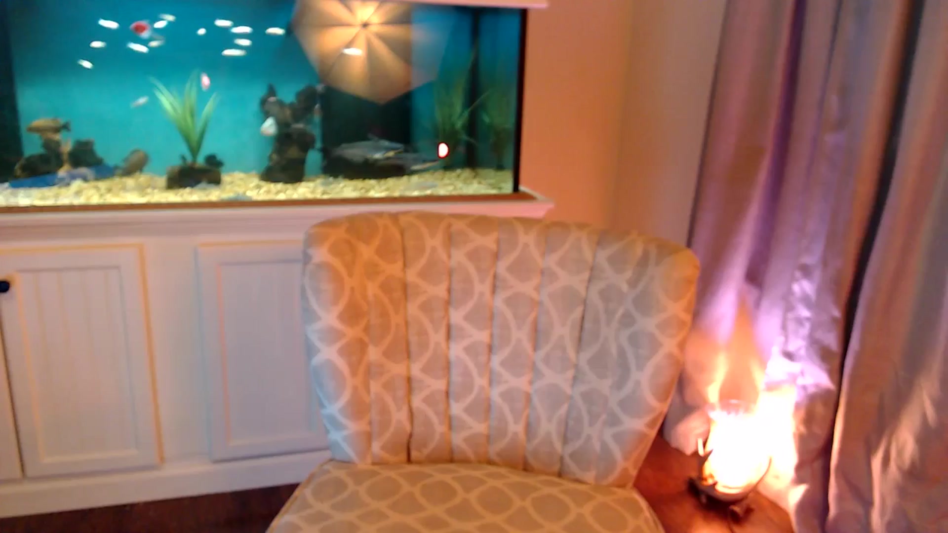 Gallery image thumbnail from Sookie__'s myfreecams stream on, 12/05/2024, 12:08 image 12 of 20