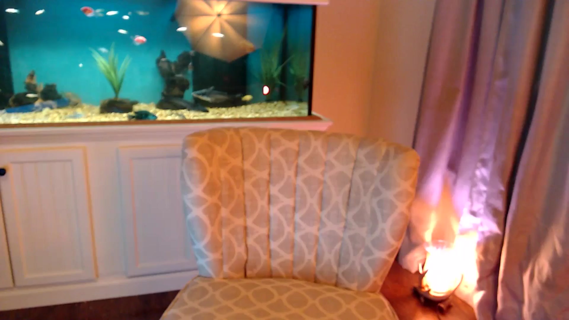 Gallery image thumbnail from Sookie__'s myfreecams stream on, 12/05/2024, 12:08 image 13 of 20