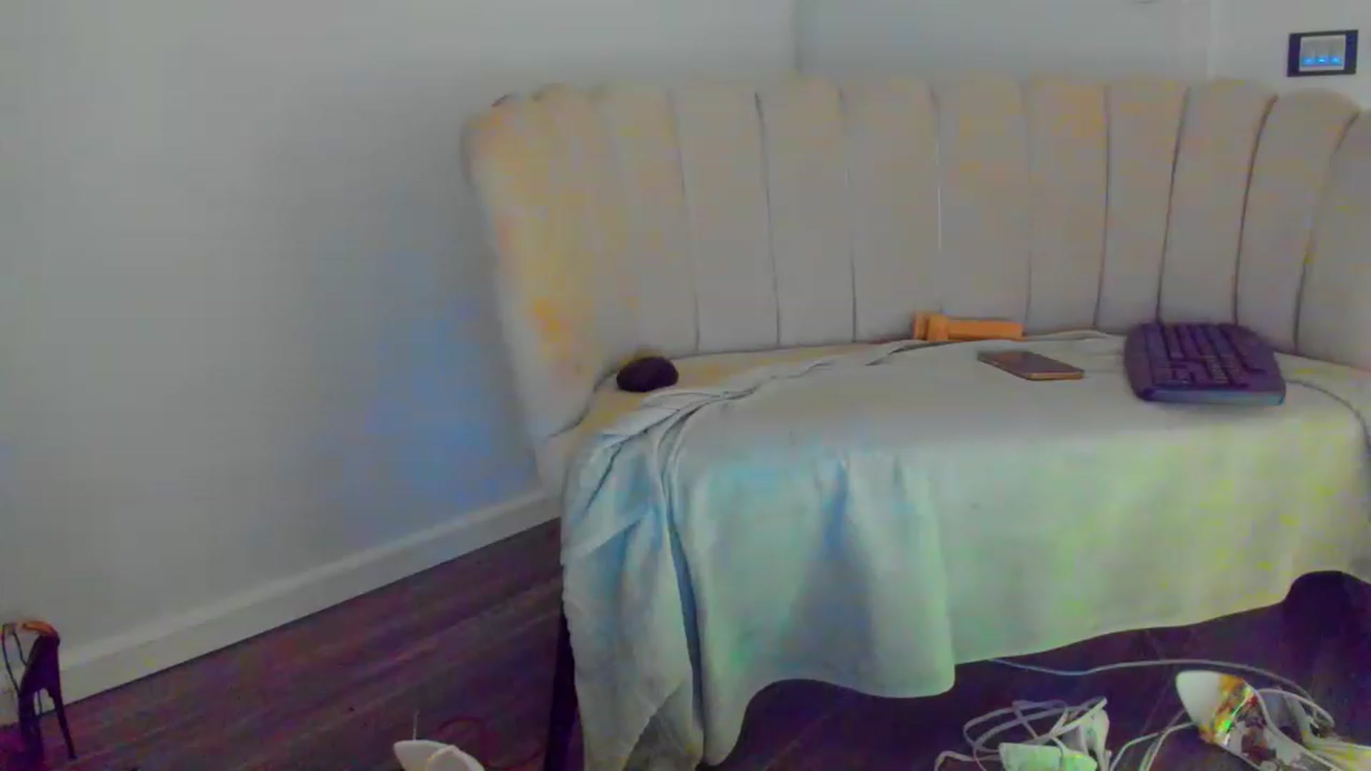 Gallery image thumbnail from SophiaSanty's myfreecams stream on, 06/28/2023, 21:53 image 10 of 20