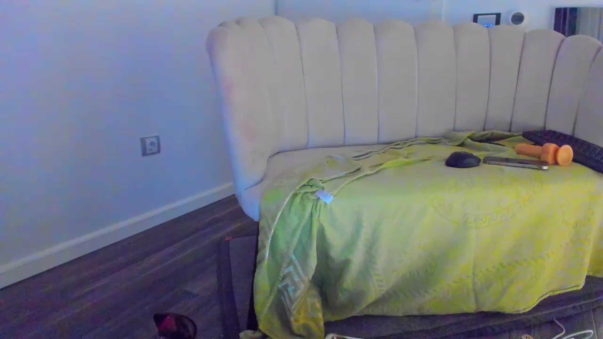 Gallery image thumbnail from SophiaSanty's myfreecams stream on, 07/11/2023, 21:12 image 12 of 20