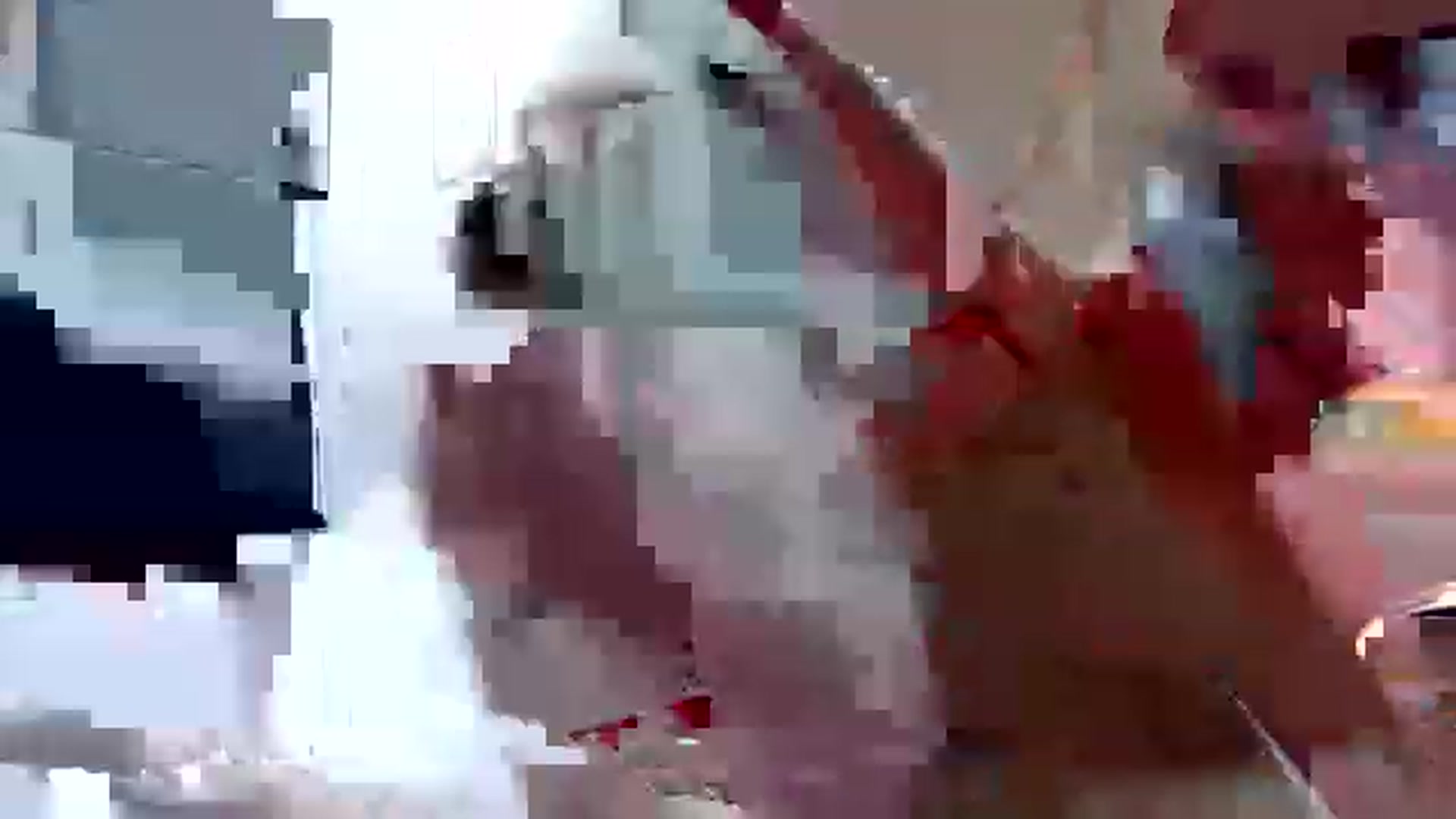Gallery image thumbnail from Sophia_88x's myfreecams stream on, 11/21/2022, 17:14 image 8 of 20