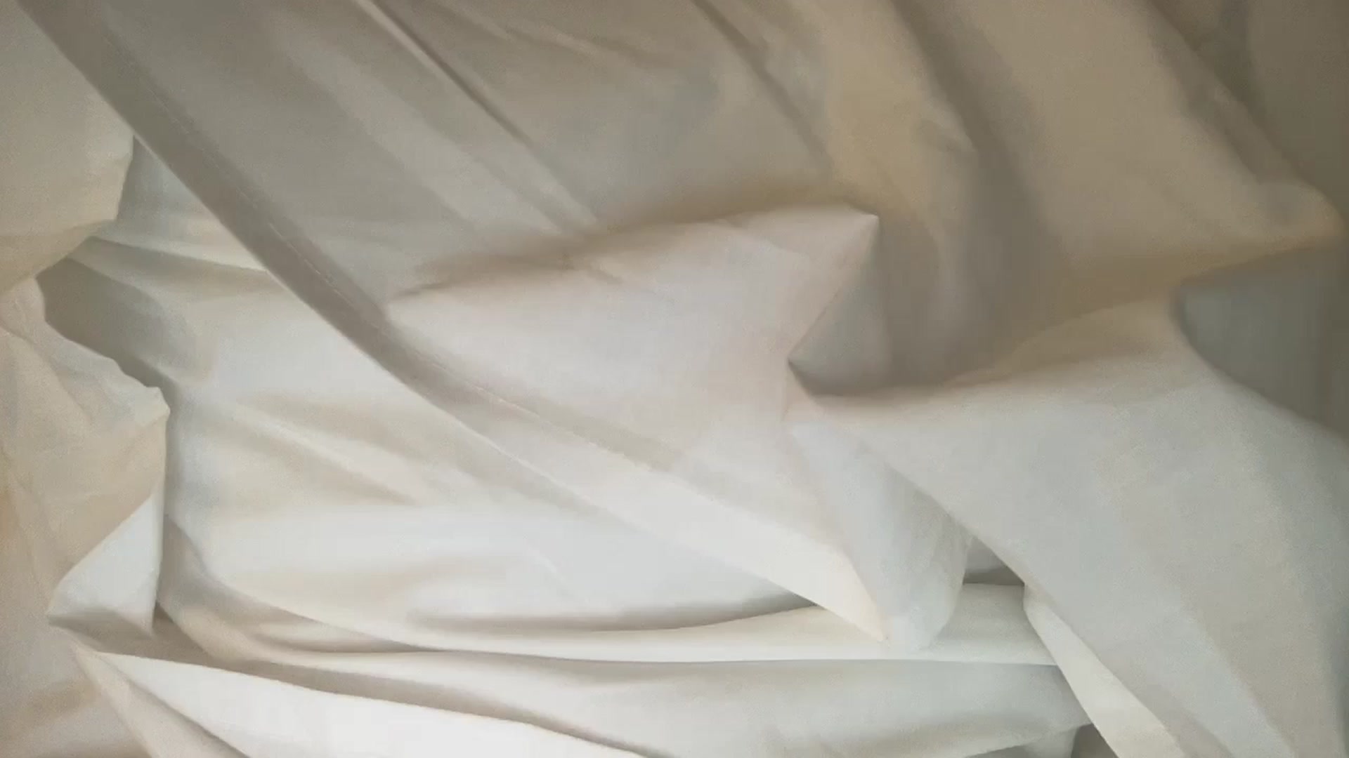 Gallery image thumbnail from Sophiaamay's myfreecams stream on, 10/05/2024, 15:28 image 1 of 20