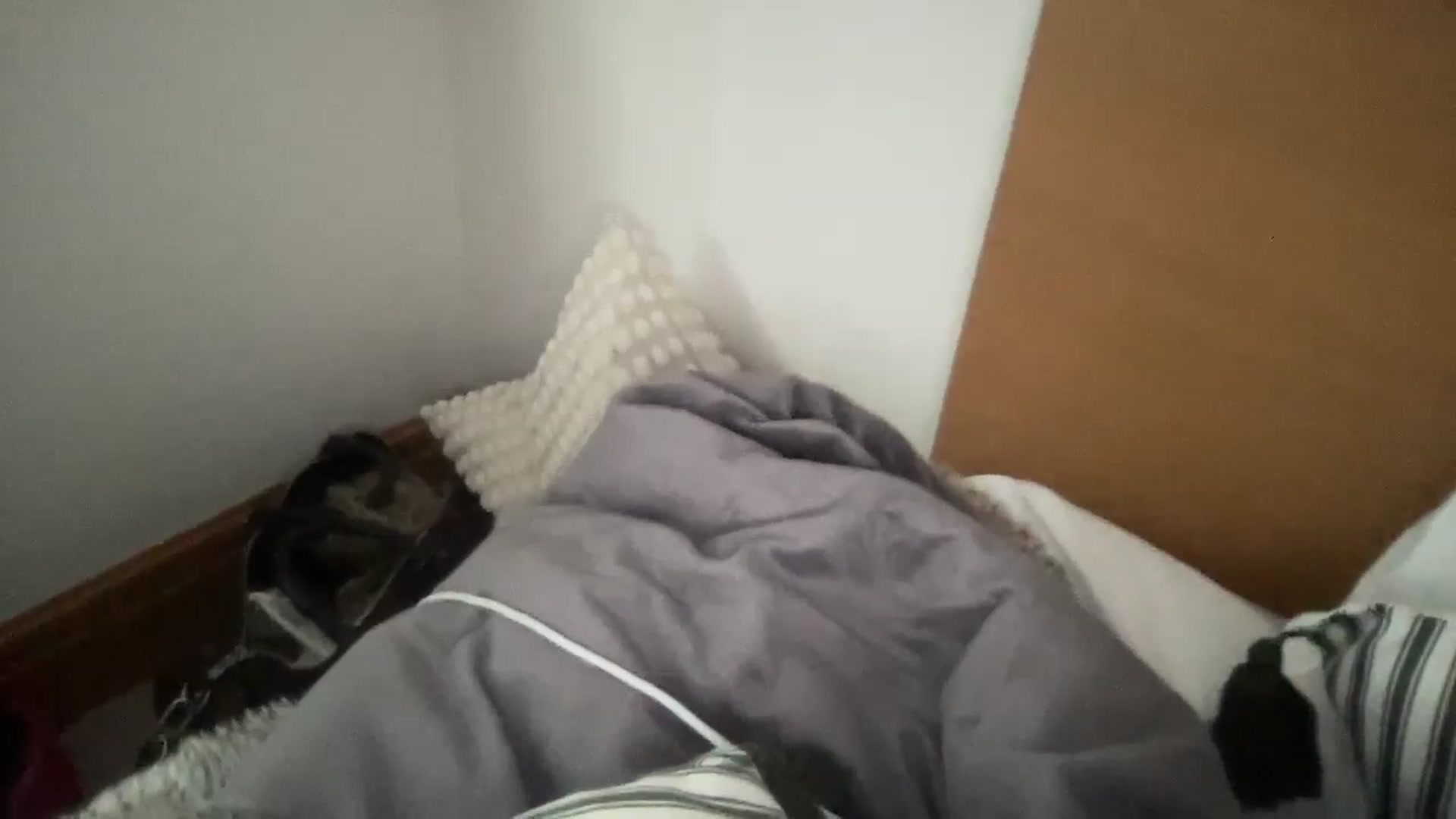 Gallery image thumbnail from Sophiaamay's myfreecams stream on, 04/25/2025, 15:52 image 17 of 20
