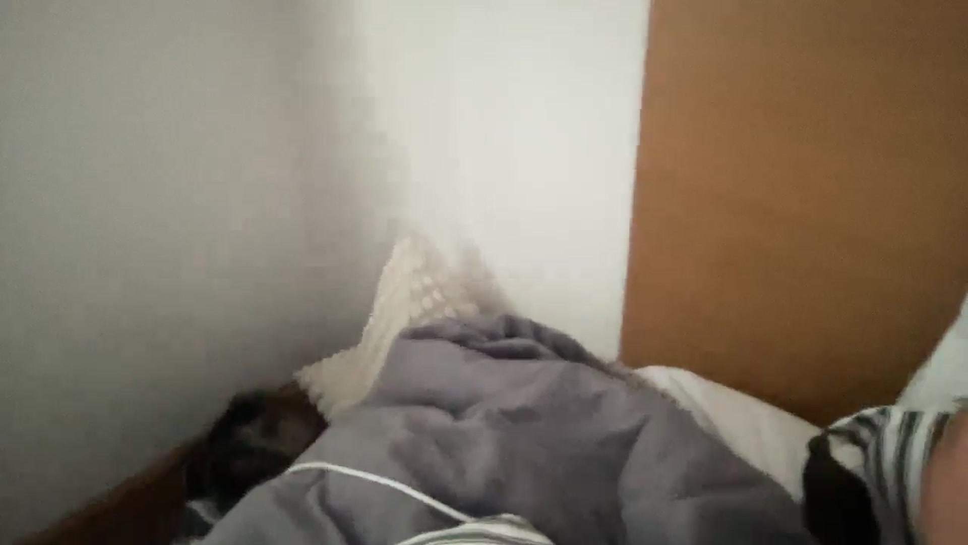 Gallery image thumbnail from Sophiaamay's myfreecams stream on, 04/25/2025, 15:52 image 18 of 20