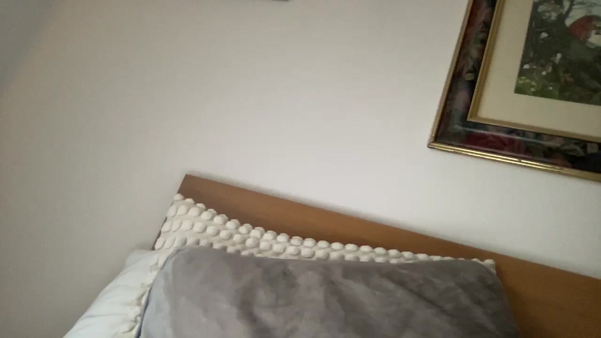 Gallery image thumbnail from Sophiaamay's myfreecams stream on, 06/17/2025, 20:42 image 18 of 20