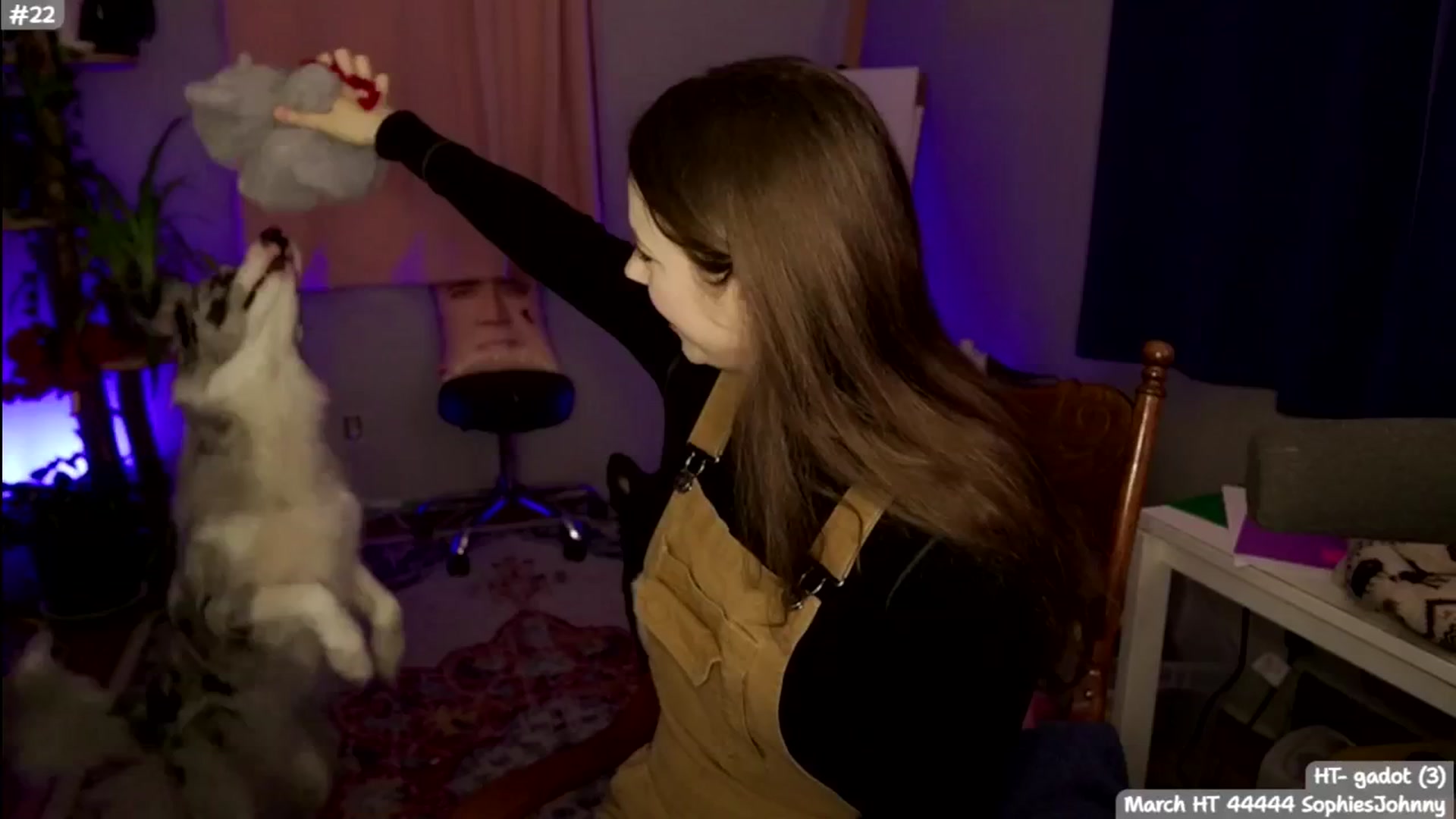 Gallery image thumbnail from SophieAmor's myfreecams stream on, 03/03/2026, 05:03 image 7 of 20