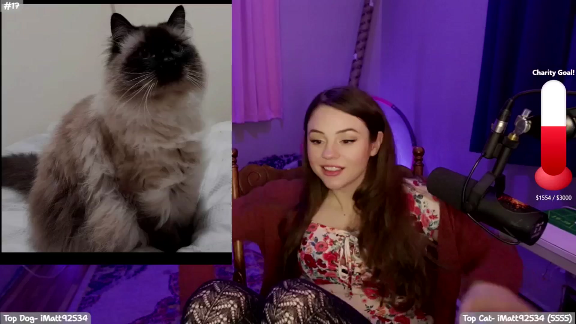 Gallery image thumbnail from SophieLouWho's myfreecams stream on, 12/16/2025, 09:24 image 4 of 20