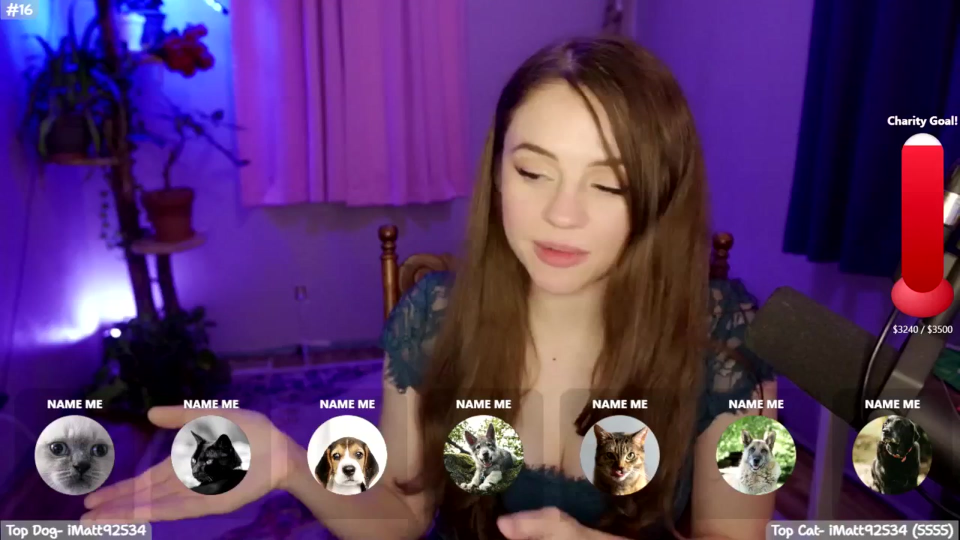 Gallery image thumbnail from SophieLouWho's myfreecams stream on, 12/16/2025, 09:24 image 13 of 20