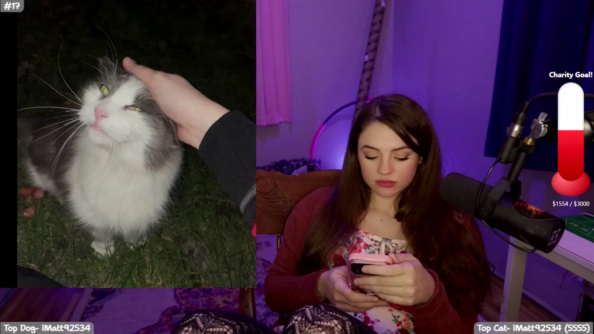 Gallery image thumbnail from SophieLouWho's myfreecams stream on, 12/16/2025, 09:24 image 3 of 20