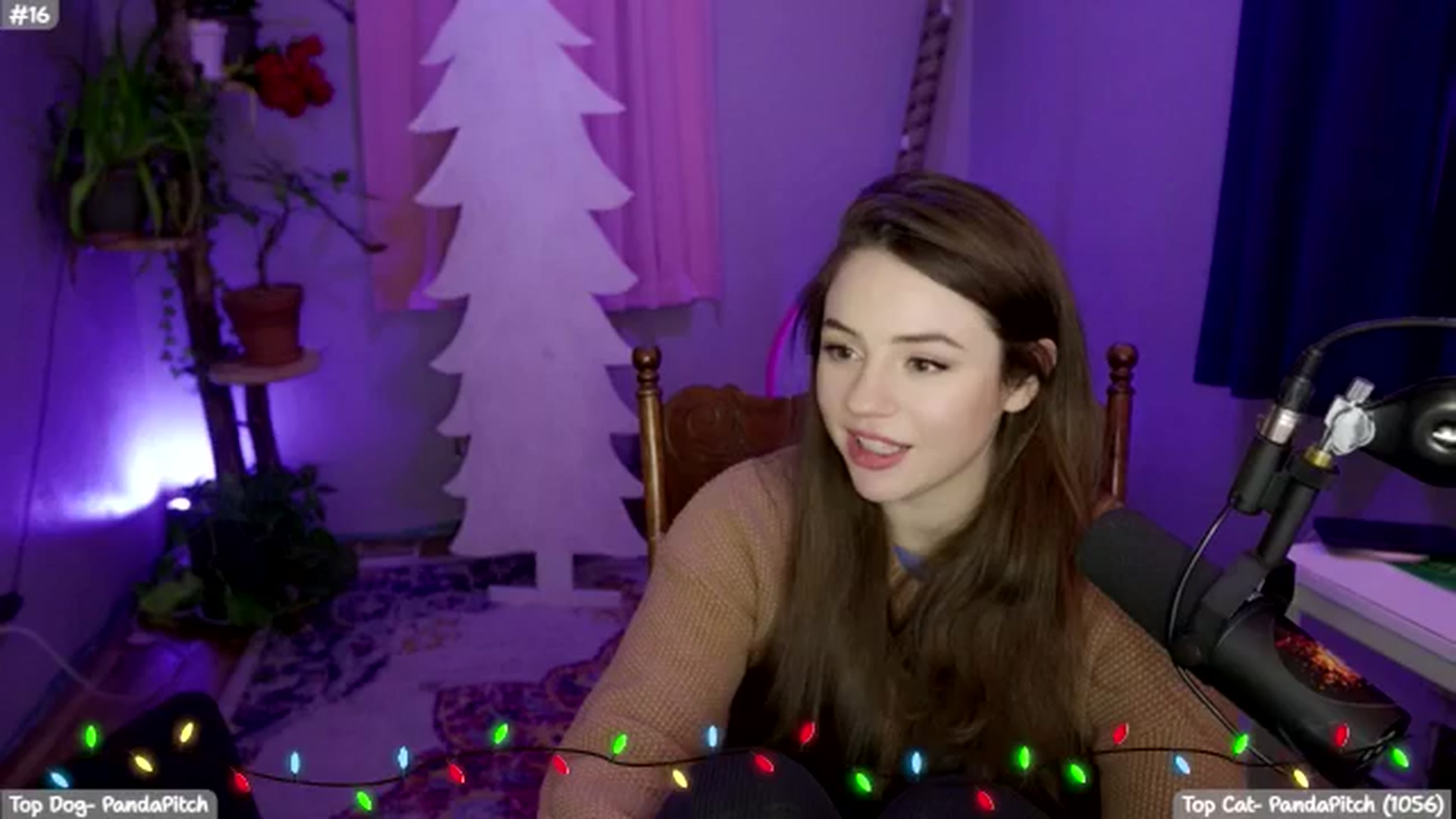 Gallery image thumbnail from SophieLouWho's myfreecams stream on, 12/19/2025, 09:23 image 19 of 20