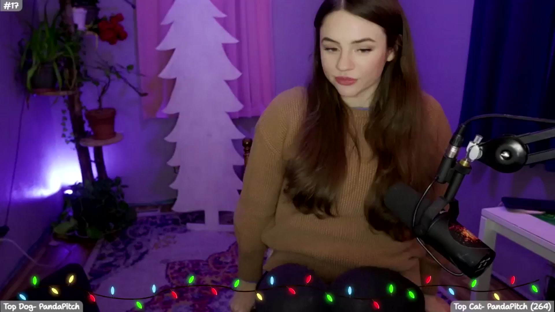 Gallery image thumbnail from SophieLouWho's myfreecams stream on, 12/19/2025, 09:23 image 5 of 20